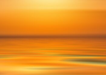 Unlock Your Potential: How Mindset Coaching Can Transform Your Life