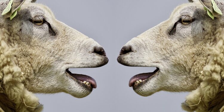 Mastering Effective Communication Skills: Key Strategies for Professional Success